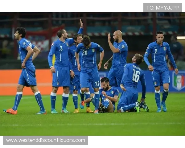 欧洲杯预选赛中立场