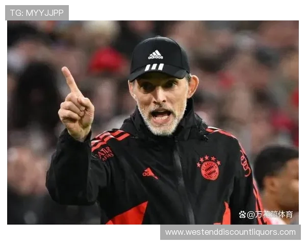 图赫尔在拜仁时期